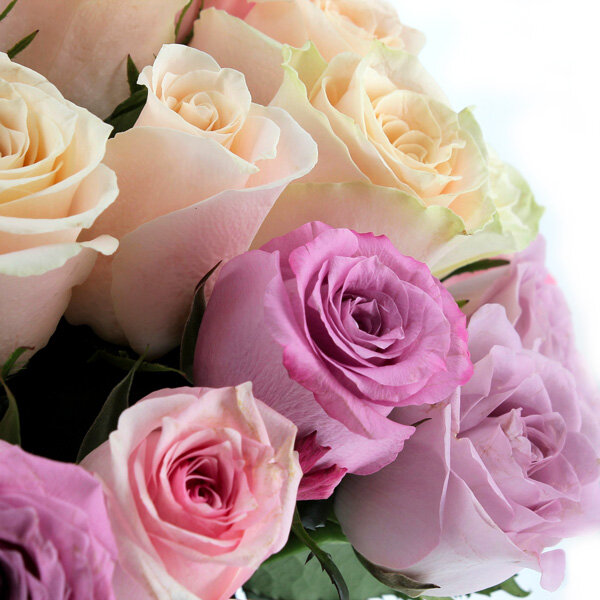 Bouquet De Roses Roses Pastel Livraison Express Florajet