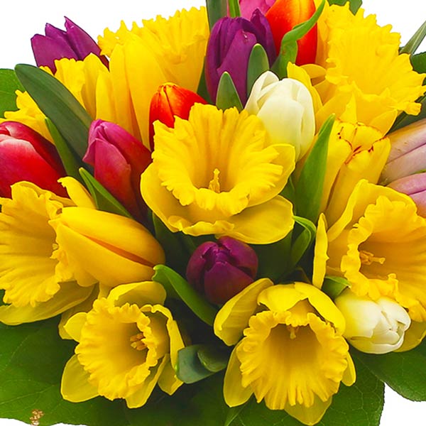 Bouquet Rond Tulipes Et Jonquilles Livraison Express Florajet