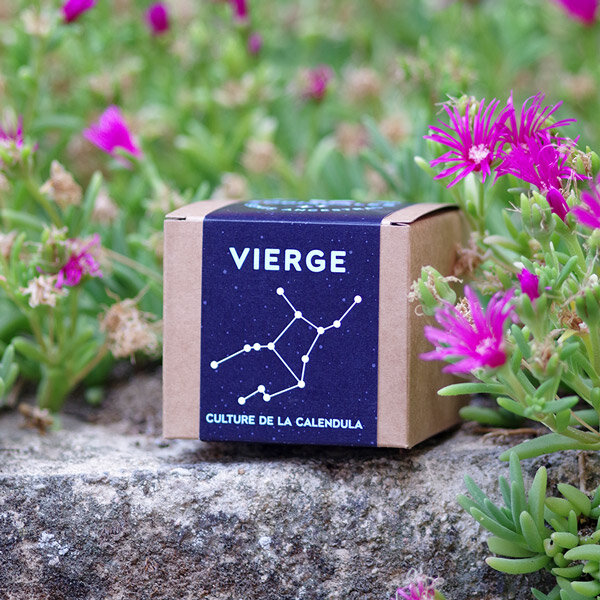 Kit Vierge