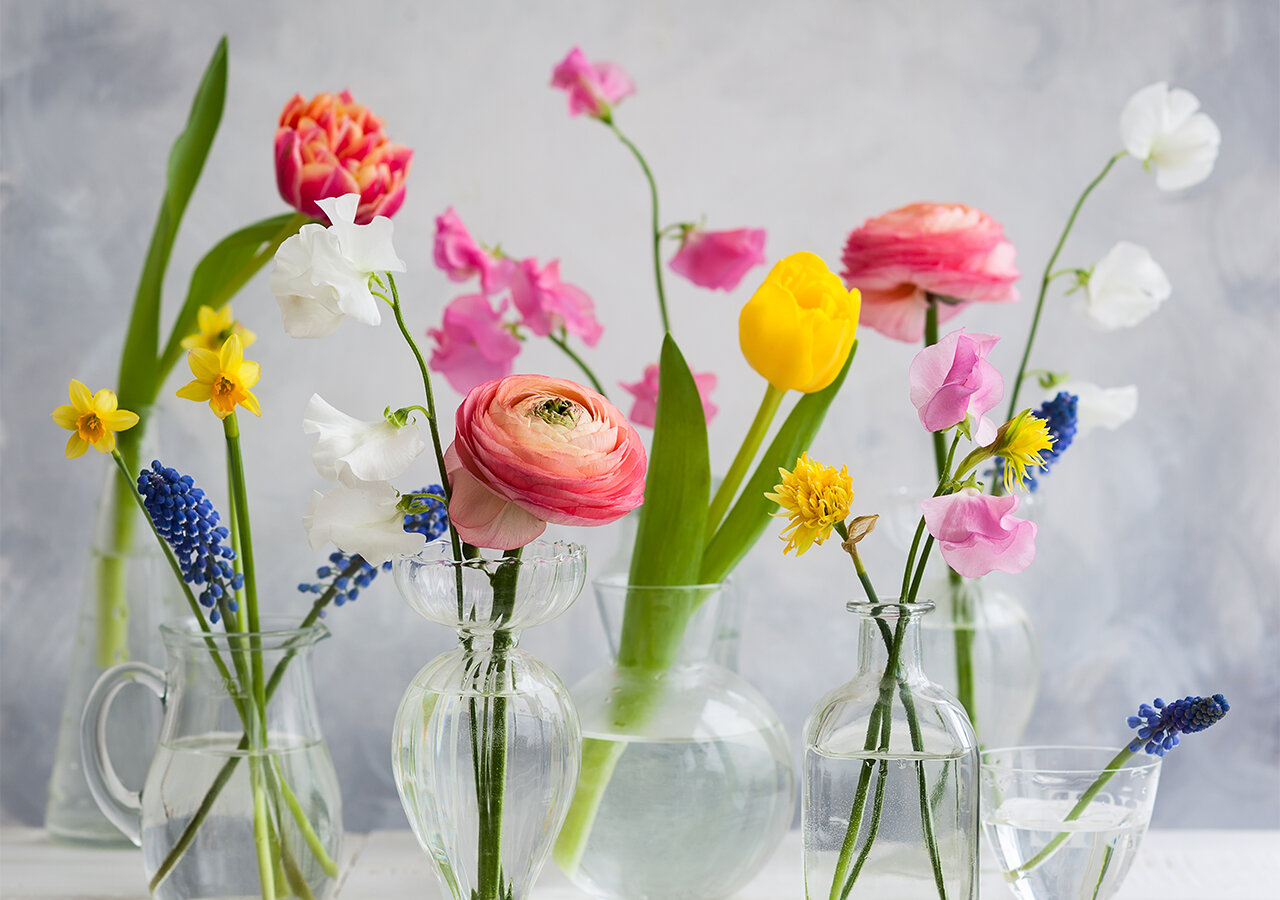 Fleurs du mois de Mars - Florajet