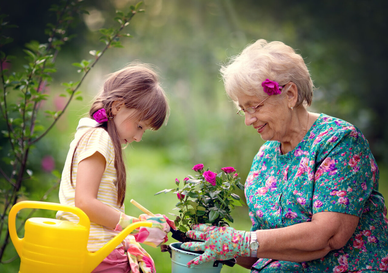 Quelle couleur de rose pour la fête des Grands-mères ? | Florajet Quelle couleur de rose pour la fête des Grands-mères ? | Florajet
