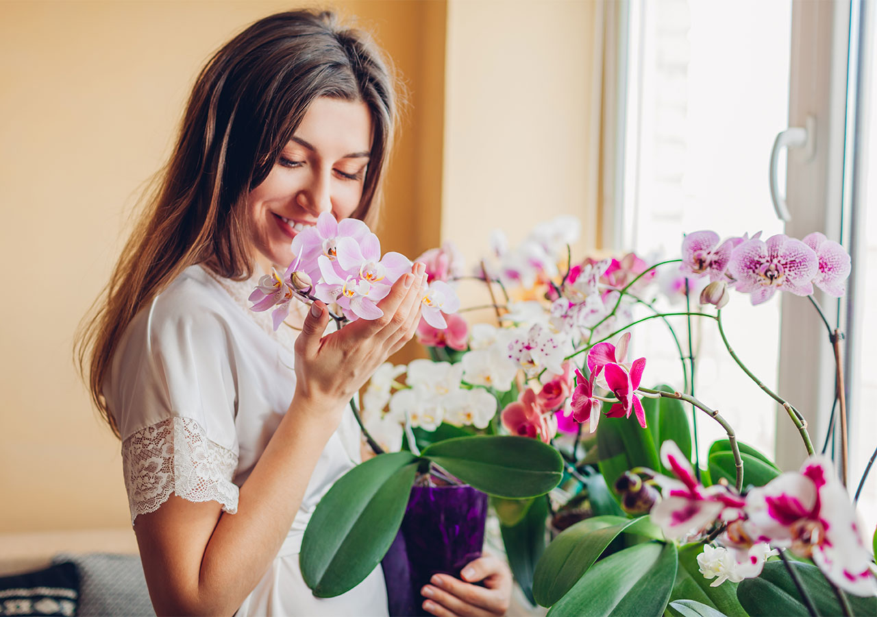 Orchidées et design, la combinaison gagnante Orchidées et design, la combinaison gagnante