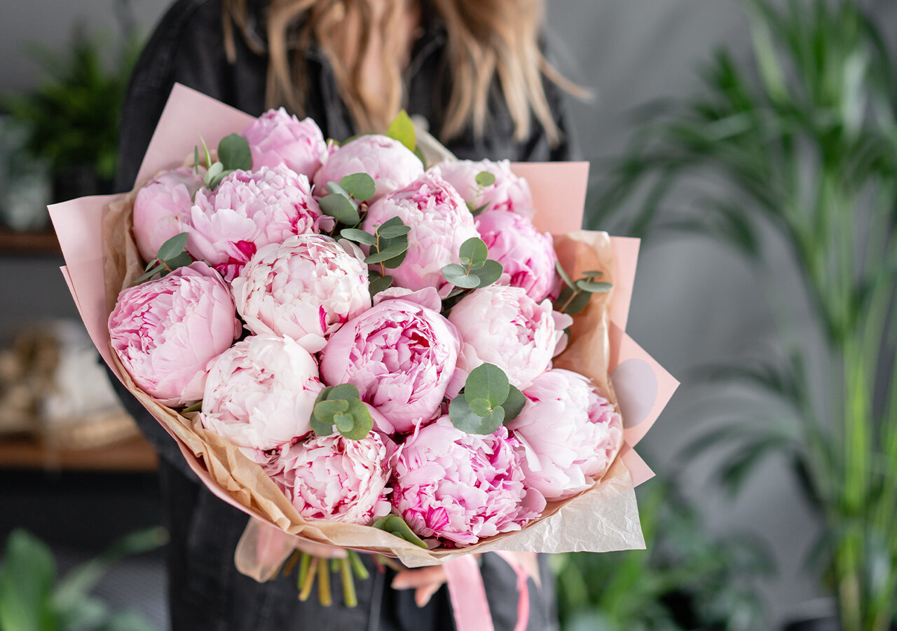 Découvrez la signification de la Pivoine - Florajet Découvrez la signification de la Pivoine - Florajet