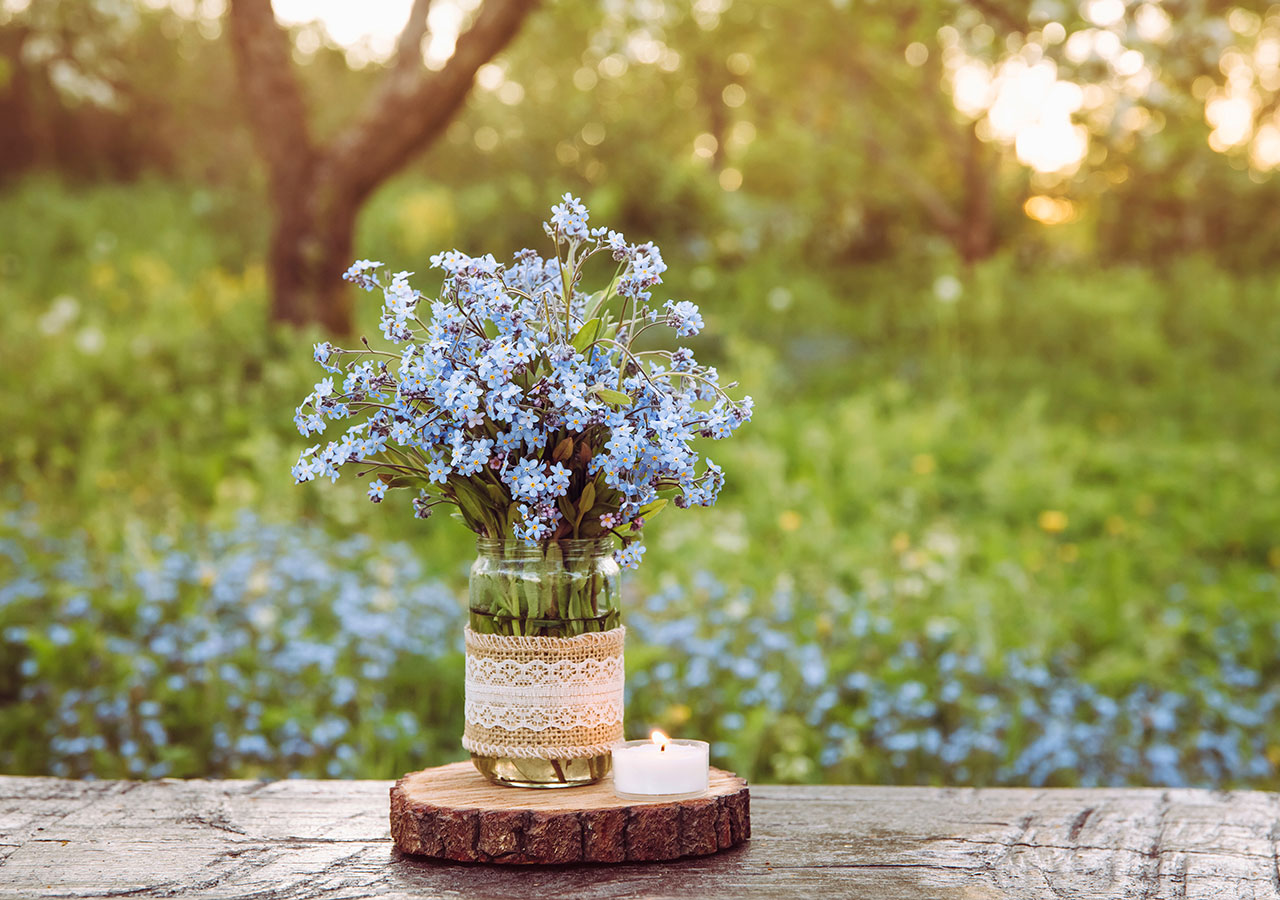 Découvrez la signification des Myosotis - Florajet Découvrez la signification des Myosotis - Florajet