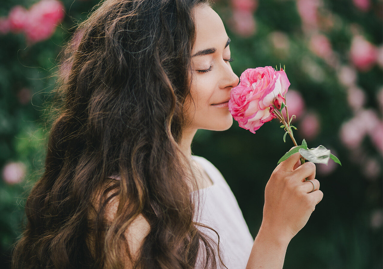 Comment conserver une rose ? Comment conserver une rose ?