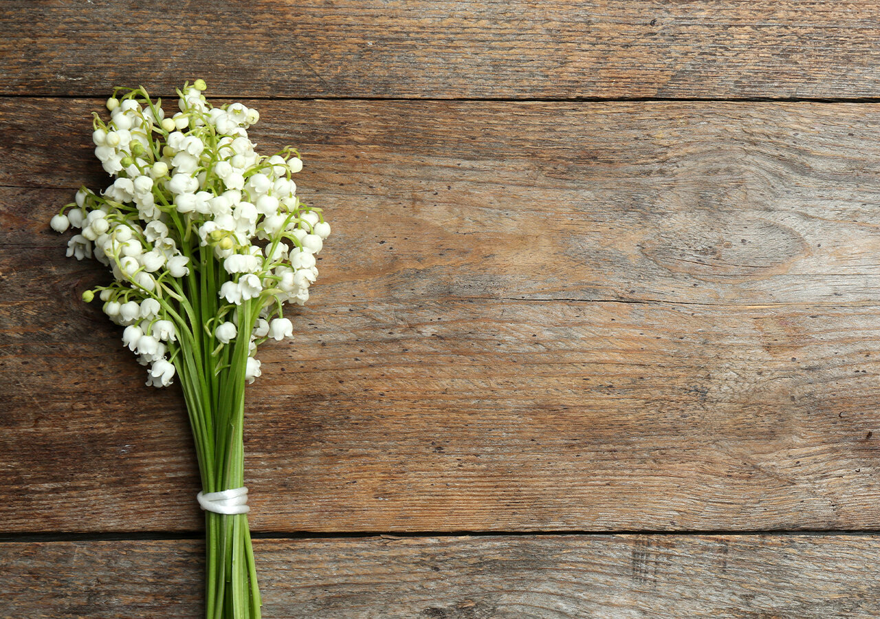 Comment faire sécher un brin de muguet ? Comment faire sécher un brin de muguet ?