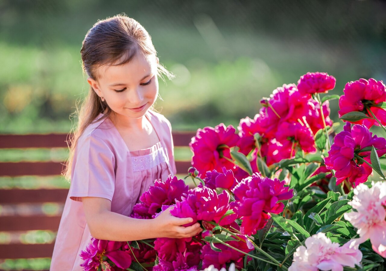 Comment entretenir une pivoine ? Comment entretenir une pivoine ?