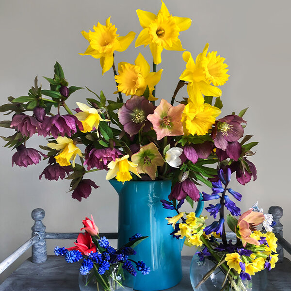 association-fleurs-et-hellebore