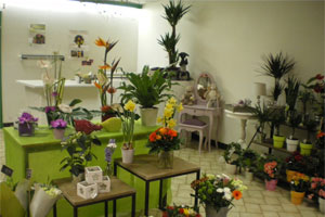 MELI MELO FLEURS ET DECO