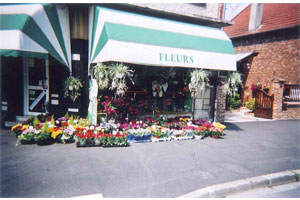 LUCAS FLEURS