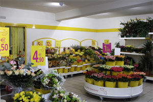 RAPID FLORE 