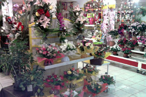 FLEURS ET STYLE