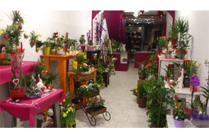 FLORALYS