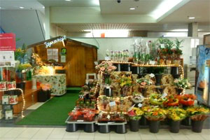 LE CHALET FLEURI