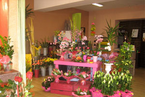 ANAIS FLEURS ET PASSION