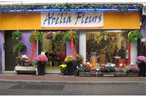 ABELIA FLEURS