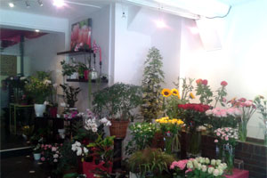 FLEURTEZ