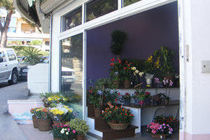 AMBIANCE FLORALE