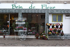 BRIN DE FLEUR