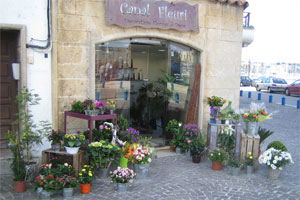 CANAL FLEURI