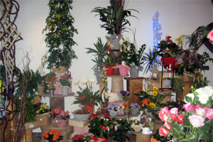 ASP ATELIER FLORAL