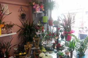 IL ETAIT UNE FLEUR