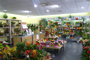 LE PLAISIR DES FLEURS