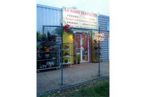 LA MAGIE DES FLEURS