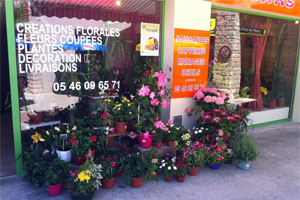 STYL NESS FLEURS