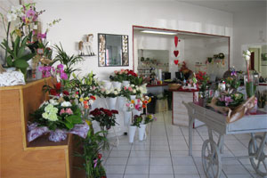 LES FLEURS SENTEURS SAVEURS SA