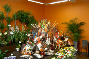 FLEURS DE CLEMENTINE