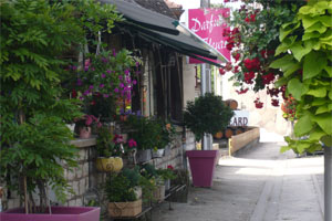 PARFUM DE FLEURS
