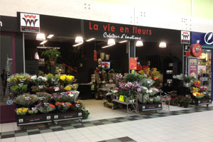 LA VIE EN FLEURS 