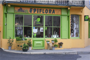 EPIFLORA