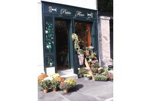 PETITE FLEUR