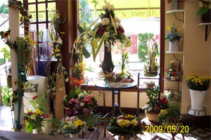 AROMES D AURORE