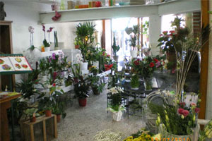 ANDRE FLEURS