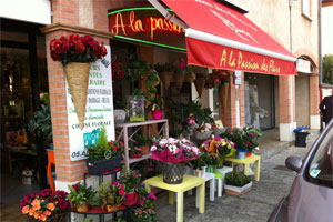 LA PASSION DES FLEURS