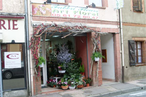 FABBRI FLEURS