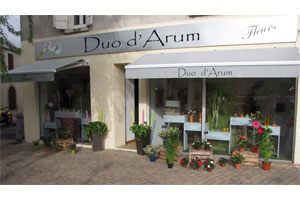 DUO D ARUM