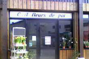 SARL CA FLEURS DE POT     