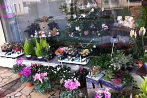 LA DAME DE FLEURS