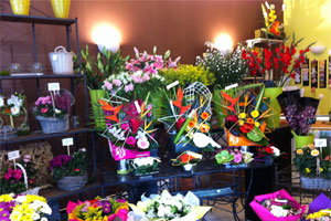 SARL CAROLE FLEURS