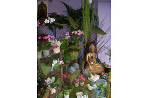 DUGUET DELPHINE DECORATRICE F