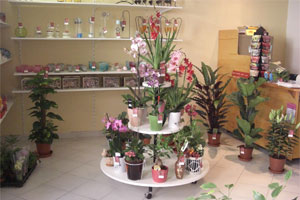 ATOUT FLEURS                  