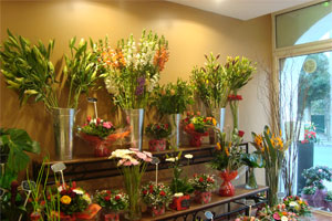 FLEURETTE