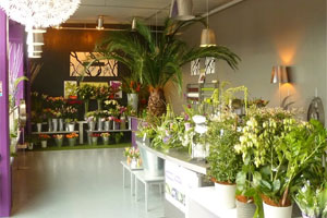 CALY DESIGN FLORAL