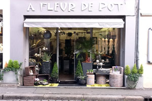 A FLEUR DE POT