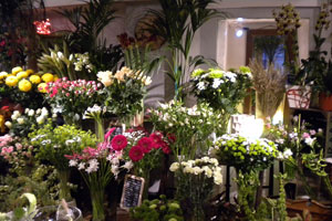 QUAND LES FLEURS S EMMELENT