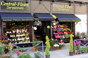 CENTRAL FLEUR SERVANNAIS